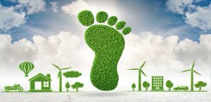 Carbon Footprint Consultants in UAE, Dubai, Carbon Calculator in Dubai, Carbon Footprint Calculation in Dubai, Abu Dhabi, Ras Al Khaimah, Sharjah, Fujairah), Oman (Muscat), Qatar (Doha), Saudi Arabia & Bahrain, Carbon Footprint Certification, Carbon Calculator, Carbon Footprint in UAE, Carbon Footprint for Events